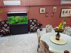 Parry Park (D19), Terrace #172968532